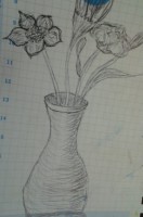 /album/attimi-creativi/a2015-02-08-18-33-35-1-jpg/